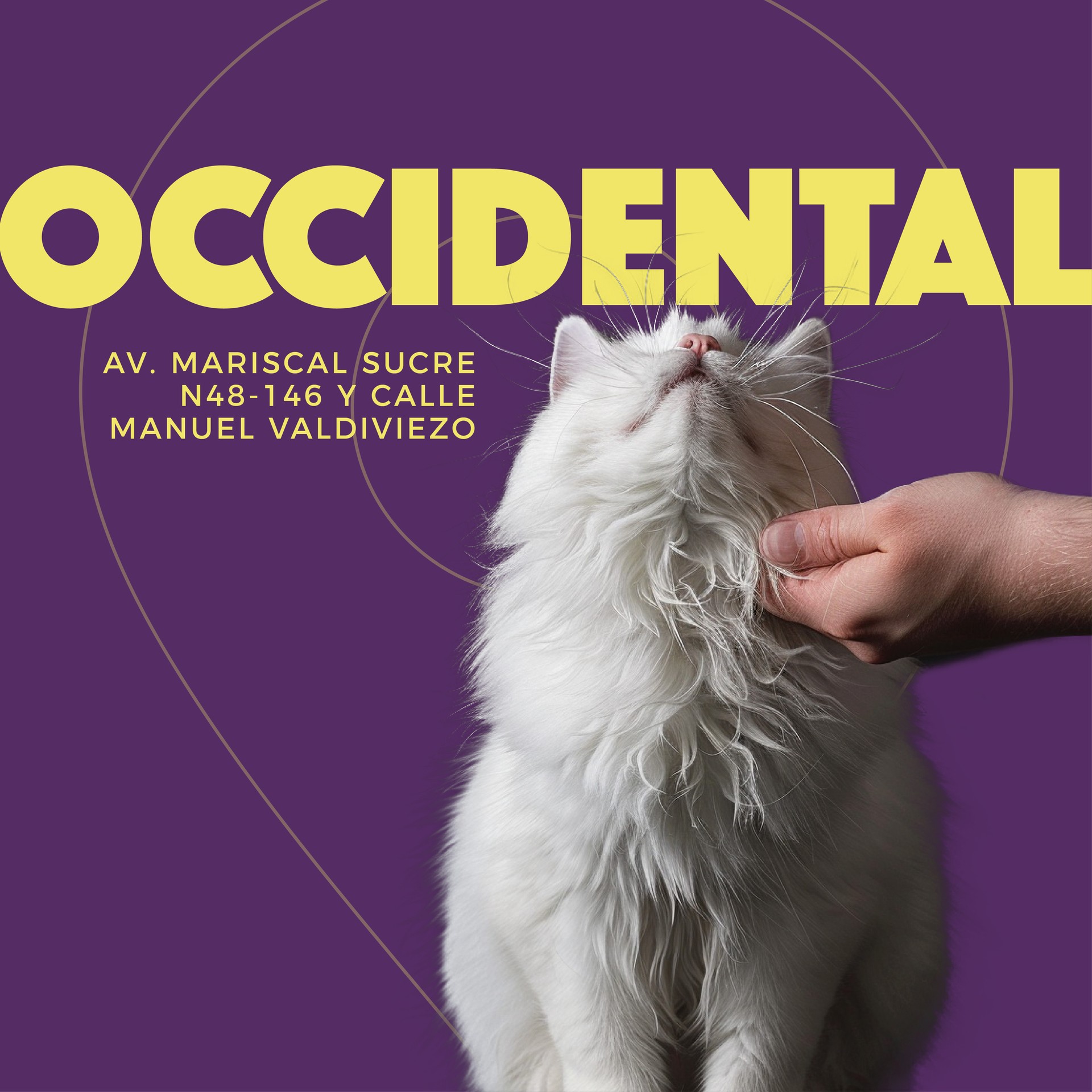 OCCIDENTAL