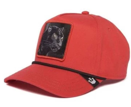 GOORIN BROS THE PANTHER 100