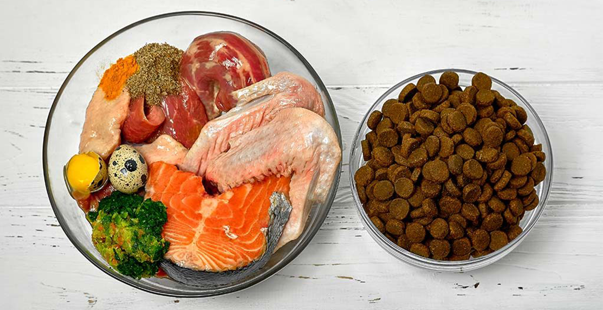 Comida congelada vs Comida seca