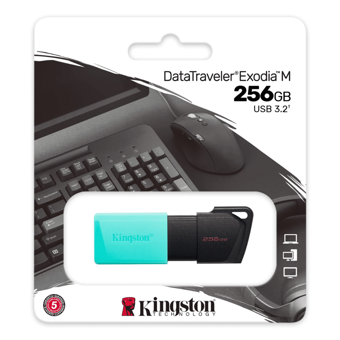 FLASH MEMORY KINGSTON DTXM/256GB 256GB USB 3.2 DATATRAVELER