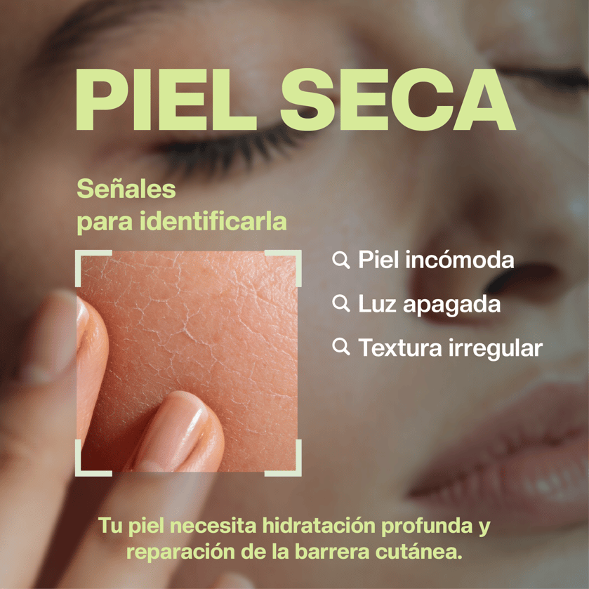 Piel Seca