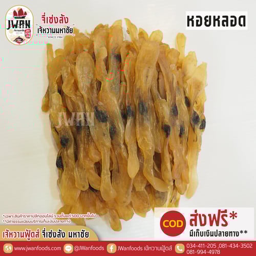 หอยหลอด