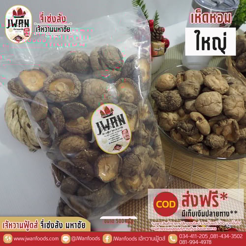 เห็ดหอมใหญ่