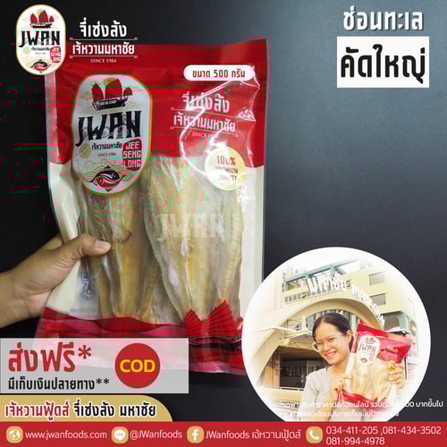 ปลาช่อนทะเลคัดใหญ่ ส