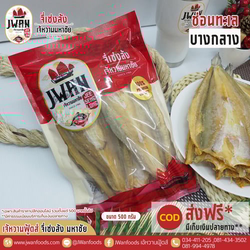 ปลาช่อนทะเลบางกลาง ณ