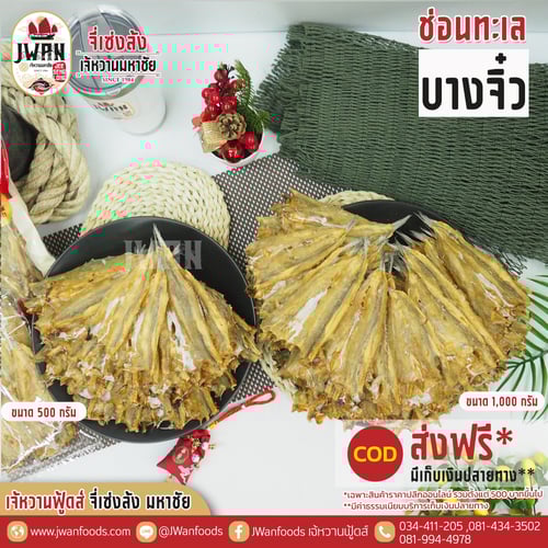 ปลาช่อนทะเลบางจิ๋ว ส