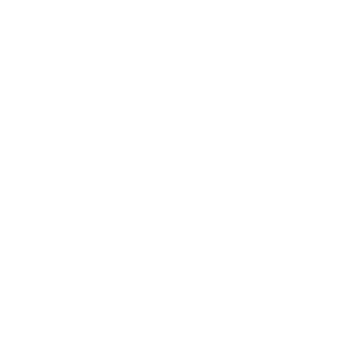 icon labtop