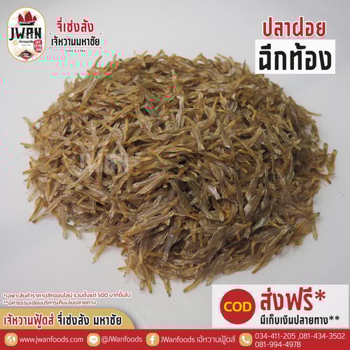 ปลาฝอยฉีกท้อง