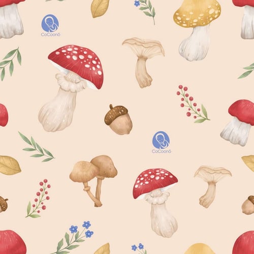 CoCoono Booster Seat