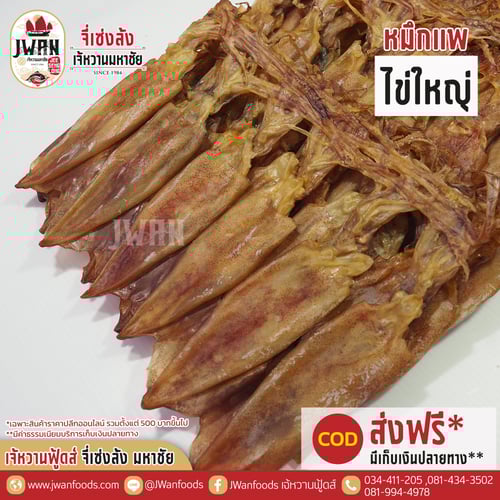 หมึกแพไข่ใหญ่