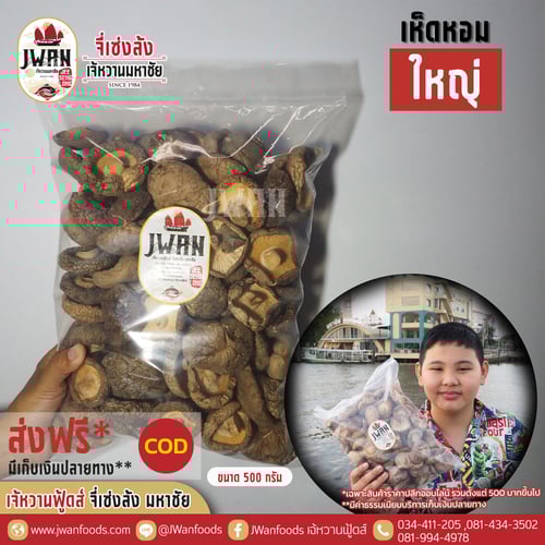 เห็ดหอมใหญ่