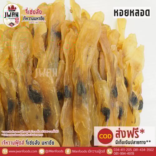 หอยหลอด