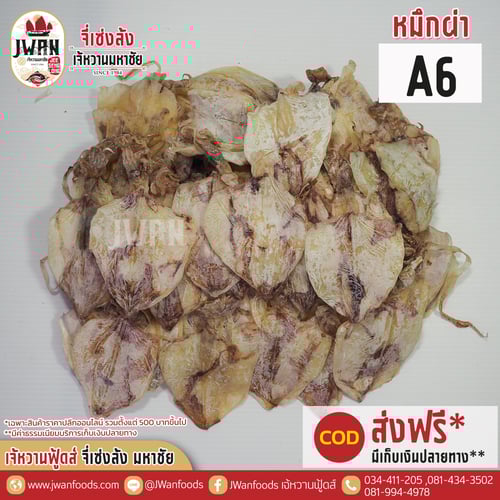 หมึกผ่า A6 A