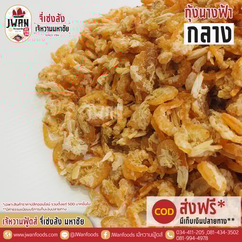 กุ้งนางฟ้ากลาง