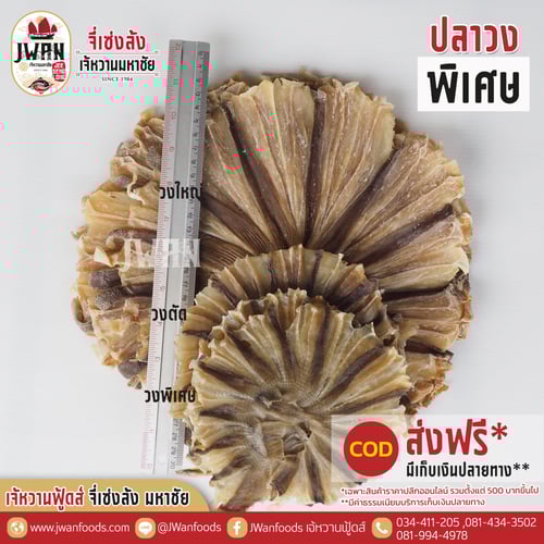 ปลาวงพิเศษ