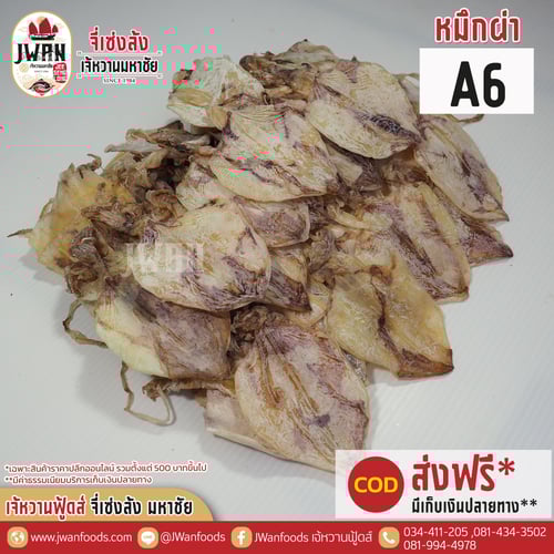 หมึกผ่า A6 A