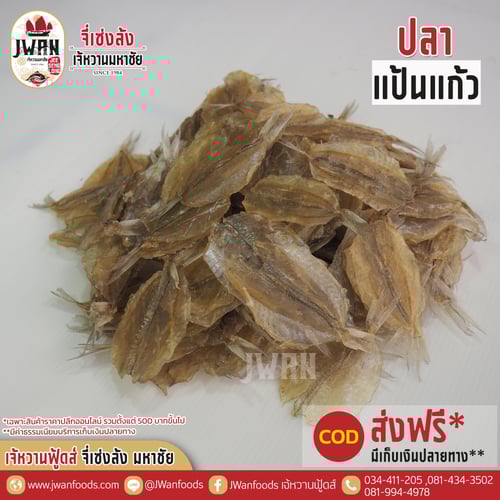 ปลาแป้นแก้ว