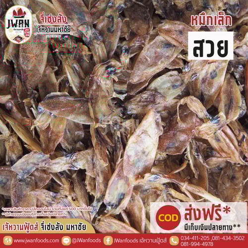 หมึกเล็กสวย