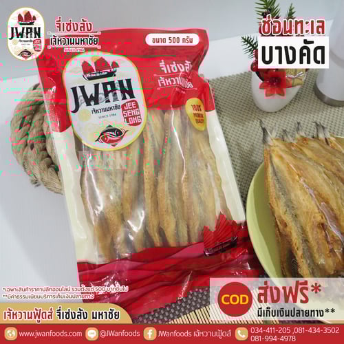 ปลาช่อนทะเลบางคัด ณ