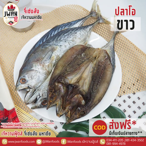 ปลาโอขาว