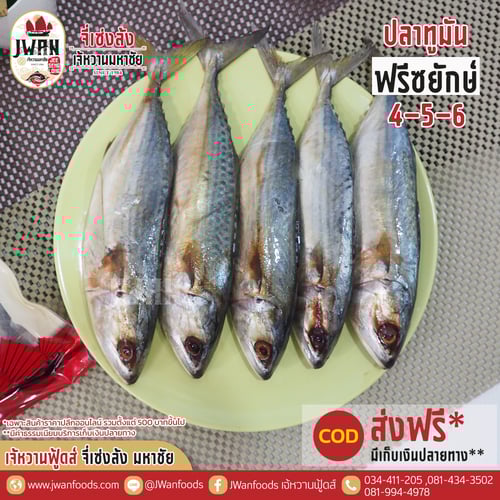 ปลาทูมันฟรีซยักษ์ 4-5-6