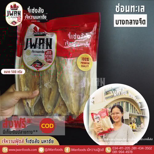 ปลาช่อนทะเลบางกลางจืด ส