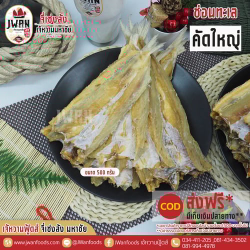 ปลาช่อนทะเลคัดใหญ่ ส