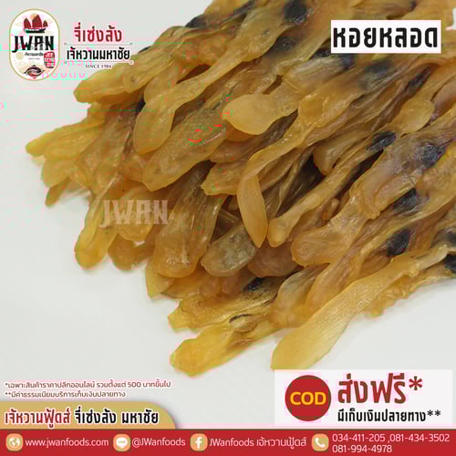 หอยหลอด