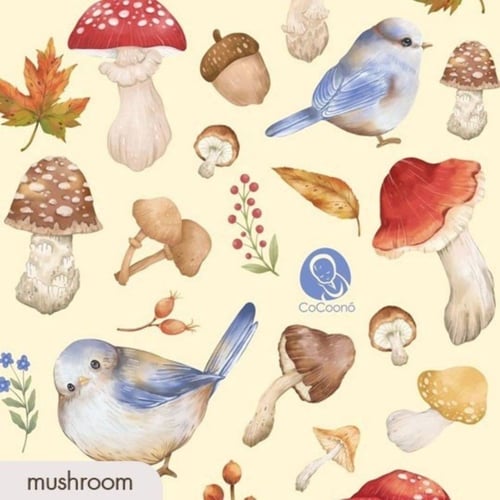 หมอนข้างจัดท่า Bloster