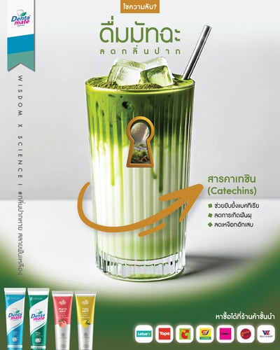 มัทฉะมีสารที่ชื่อว่า คาเทชิน (Catechins) เป็นสารต้านอนุมูลอิสระที่โคตรเจ๋ง!