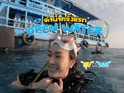 ดำน้ำเกาะเต่า Open Water ครั้งแรก "ตุบ" หรือ "รอด" 