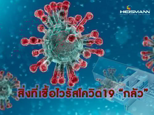 สิ่งที่เชื้อไวรัสโควิด19 "กลัว"