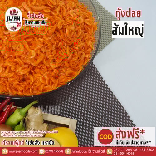 กุ้งฝอยส้มใหญ่