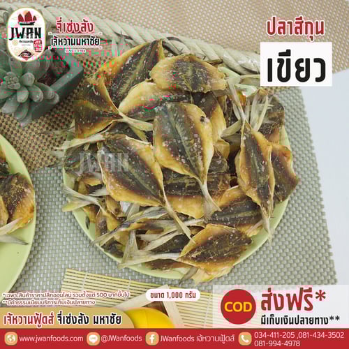 ปลาสีกุนเขียว