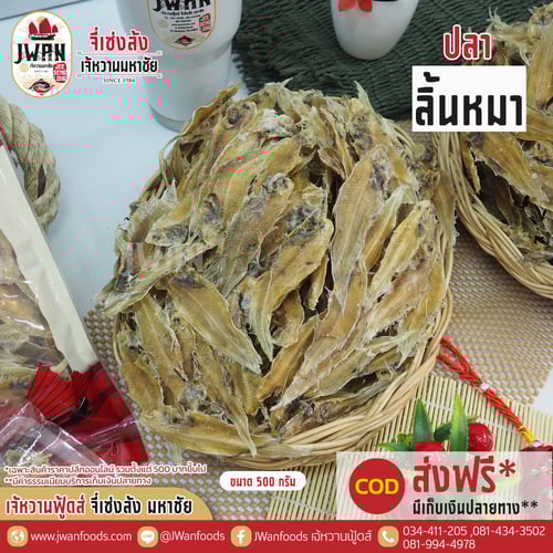 ปลาลิ้นหมา