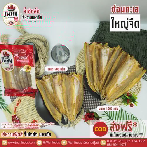 ปลาช่อนทะเลใหญ่จืด ส