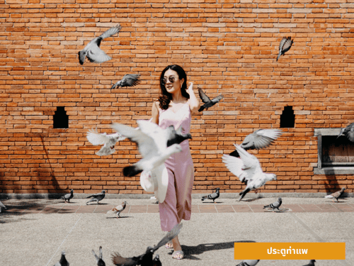 ประตูท่าแพ จังหวัดเชียงใหม่