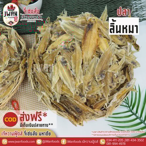 ปลาลิ้นหมา