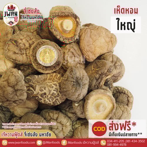 เห็ดหอมใหญ่