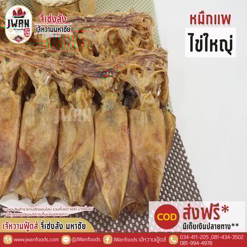 หมึกแพไข่ใหญ่