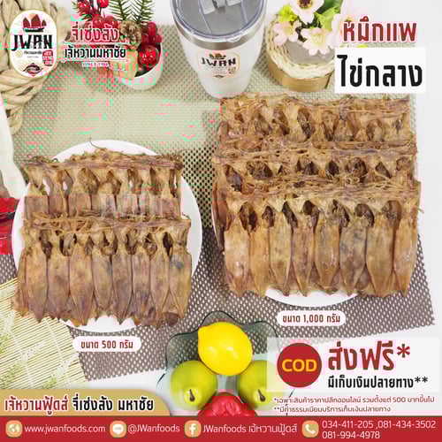 หมึกแพไข่กลาง