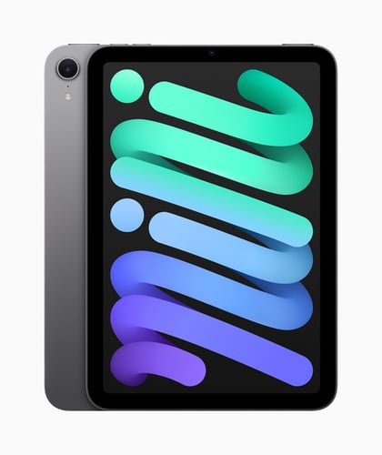 iPad mini Wi-Fi 256GB - Space Grey