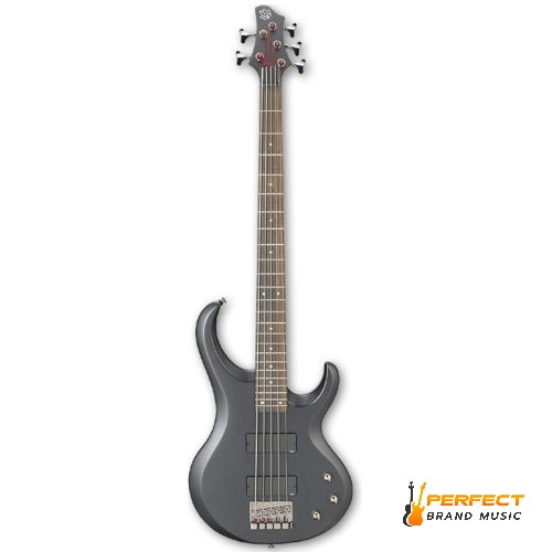 Ibanez BTB205-IPF กีตาร์เบสไฟฟ้า Ibanez BTB205-IPF (5 Strings)