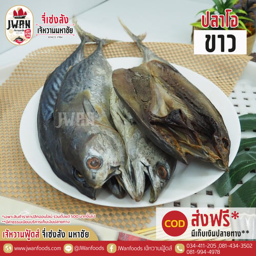 ปลาโอขาว