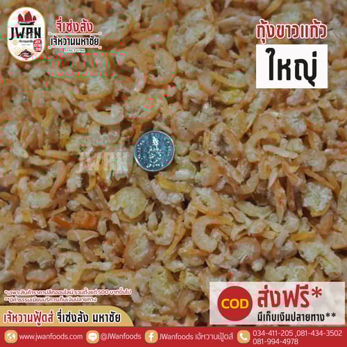 กุ้งขาวแก้วใหญ่