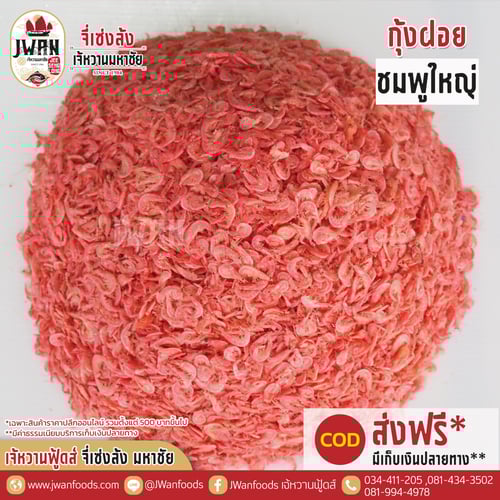 กุ้งฝอยชมพูใหญ่