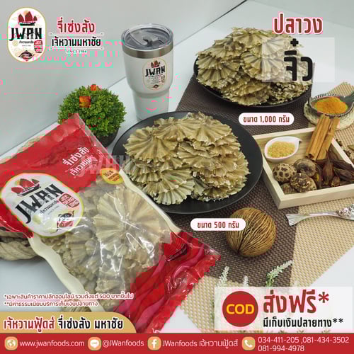 ปลาวงจิ๋ว