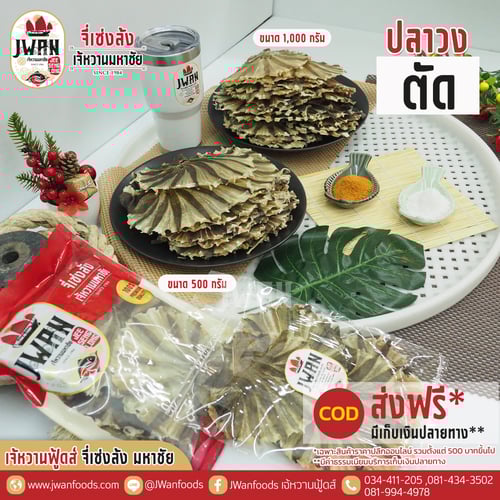 ปลาวงตัด