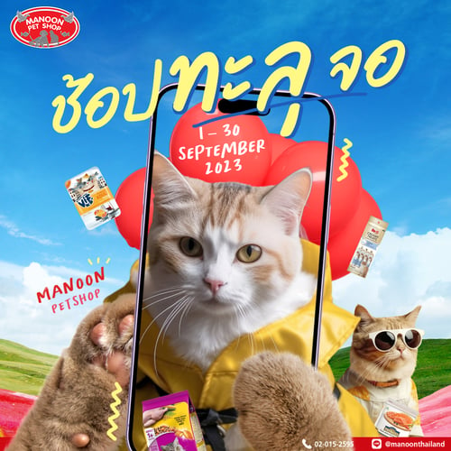 Promotion Cat April 66