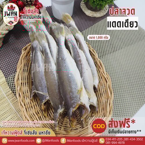 ปลาจวดแดดเดียว